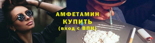 шишки Алексин