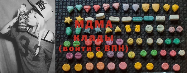 индика Арсеньев