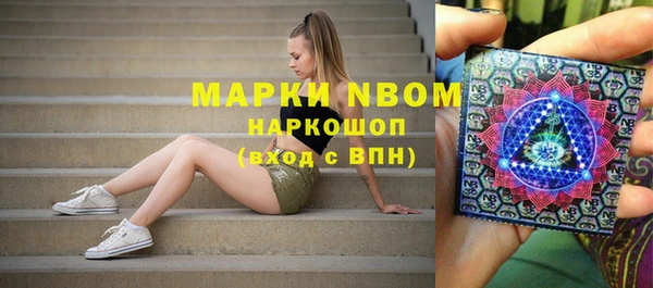 индика Арсеньев