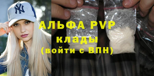 индика Арсеньев