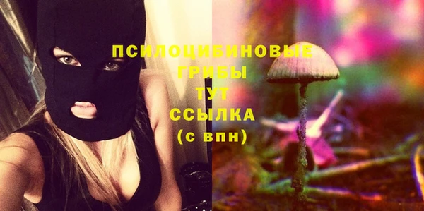 индика Арсеньев